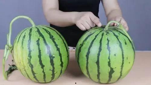 安城中学吃瓜,揭秘校园里的那些事儿