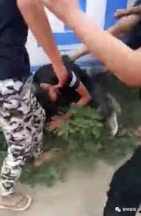 定州吃瓜打架案件