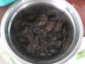 蒲瓜黑了可以吃吗,蒲瓜黑了还能食用吗？揭秘食用安全与营养价值