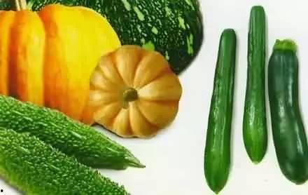 吃瓜厨房里,一场味蕾与视觉的盛宴