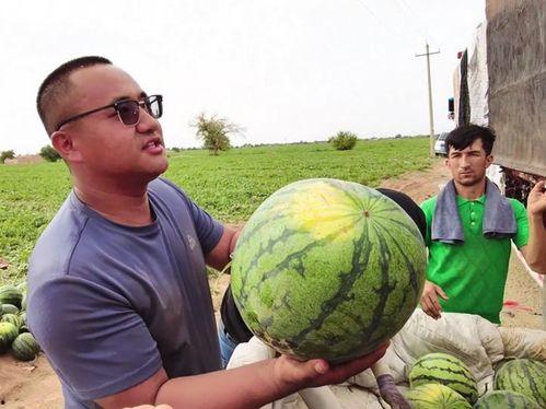 火山带你吃瓜,跟随火山带你穿越瓜果世界