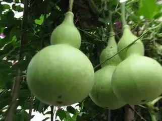 言溪吃瓜,揭秘娱乐圈幕后故事