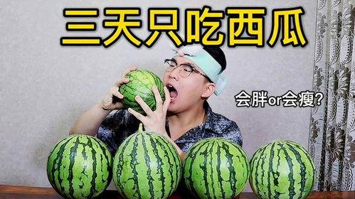 吃瓜减肥吧,轻松享“瘦”，美味不减