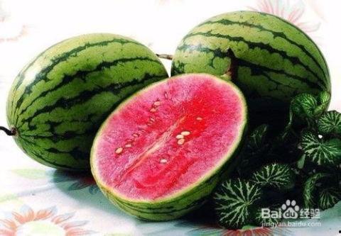 广东夏天吃的瓜