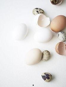 大清早吃籽瓜,籽瓜带来的清新滋味