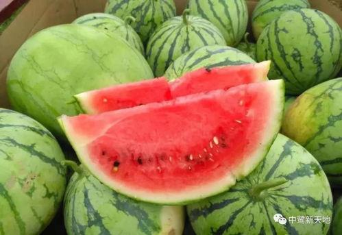 五一吃瓜今日吃瓜娜,今日焦点聚焦娜