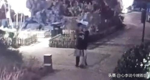 霸州吃瓜事件视频,一场引发热议的网络风波