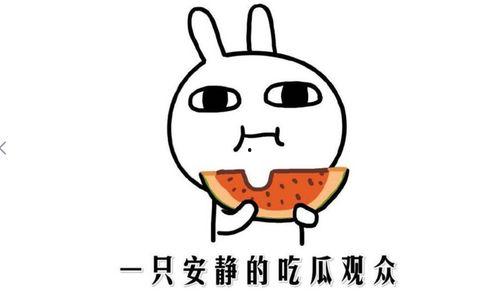 我的吃瓜生活,揭秘娱乐圈幕后故事